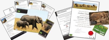 Adopt an Elephant