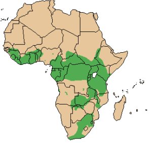 African Buffalo Distribution Map